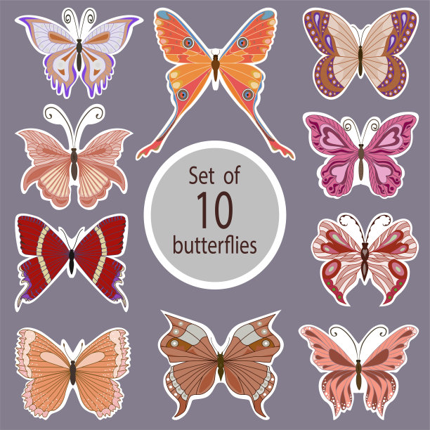 一套十张蝴蝶贴纸图片下载
