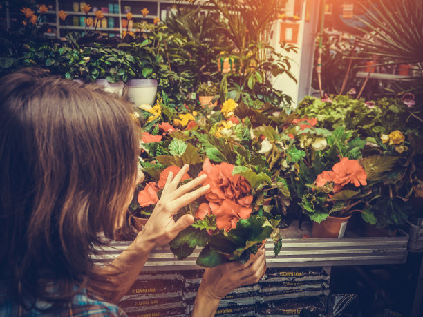 花园中心的女人图片下载