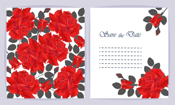 美丽的背景与玫瑰花和文字空间。图片下载