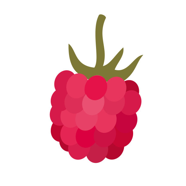 简单的覆盆子平面插图图片下载