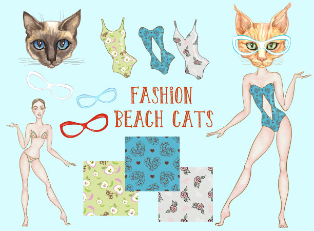 时尚沙滩猫。用于设计的元素集。向量。水彩。泳衣和无缝图案。图片下载