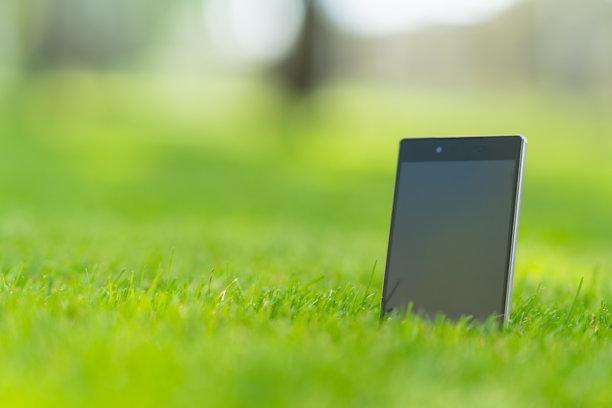 空白平板电脑站在绿草地上图片下载