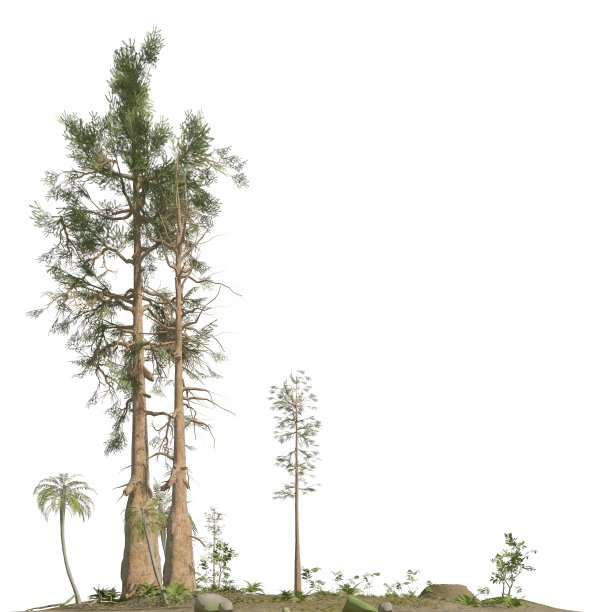 中生代的树木孤立在白色背景的3D插图图片下载