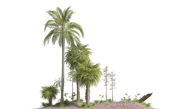 中生代的树木孤立在白色背景的3D插图图片下载