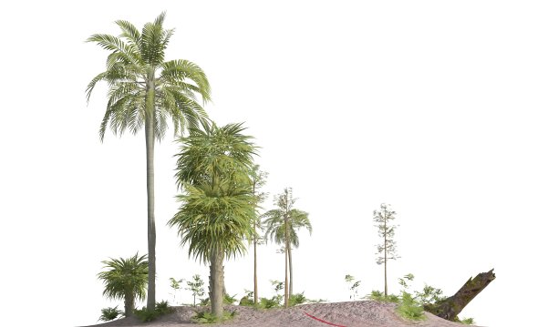 中生代的树木孤立在白色背景的3D插图图片下载