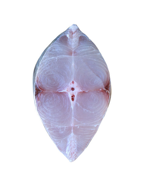 鲜马鲛鱼片，白色背景。图片下载