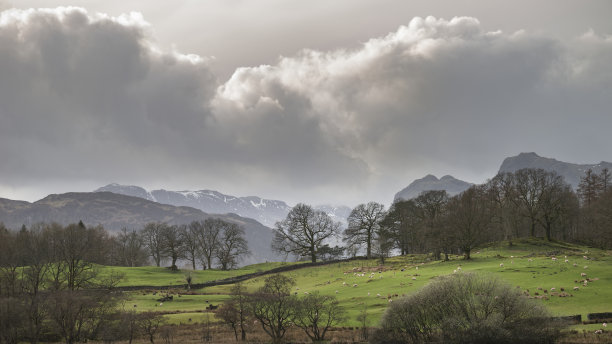 在春天戏剧性的夜晚，英国湖区的Loughrigg Tarn的景观图片图片下载