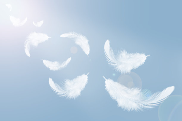 羽毛抽象背景图片下载