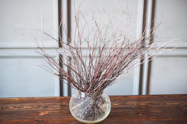 干枝插在一个透明的花瓶里放在一张灰色背景的木桌上。摄影水平图片下载