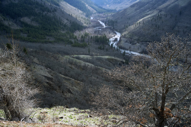 俯瞰华盛顿南部的克利基特河峡谷图片下载