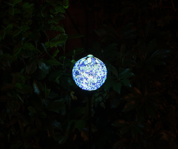 美丽的蓝色灯笼在黑暗的花园晚上图片下载