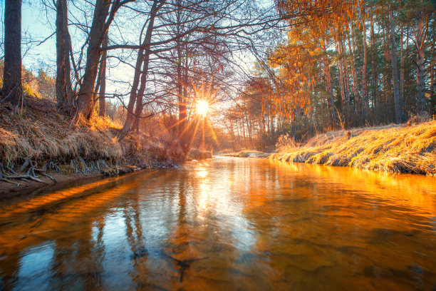 秋天的黎明图片下载