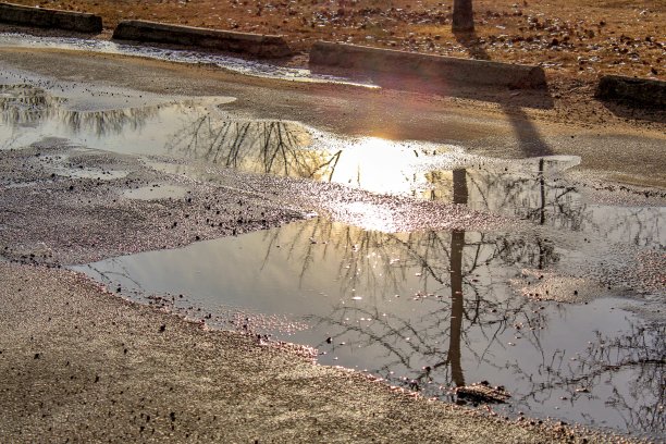 水坑反射图片下载