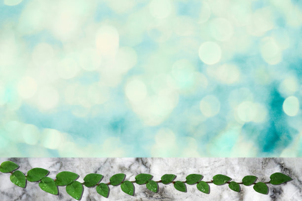 绿色的墨西哥雏菊自然边界和浅蓝色模糊散叶图片下载