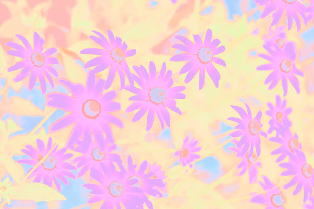 热带粉红色花朵抽象的热带夏季背景图片下载