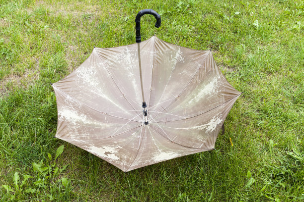 旧雨伞图片下载