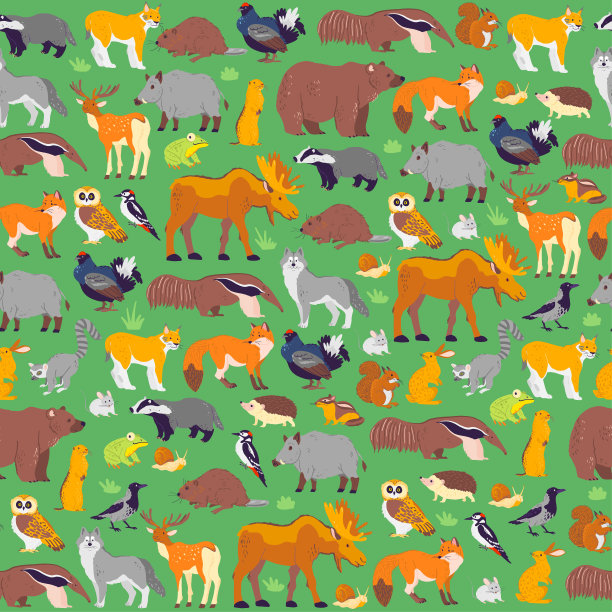 矢量平面无缝模式与野生森林动物和鸟类隔离在绿色背景。图片下载