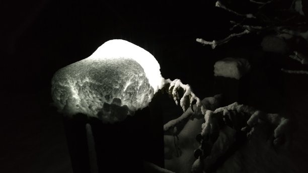 光下的雪图片下载