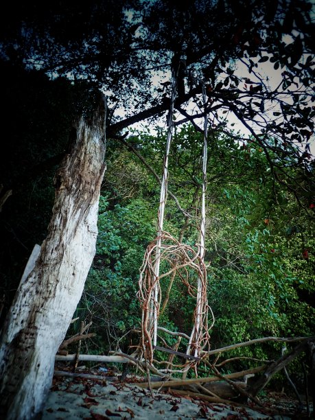 一个古老的照片，木根秋千椅挂在海滩附近的树上。图片下载