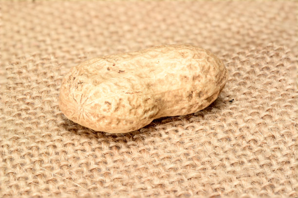 花生。整个坚果躺在麻袋上。花生宏。图片下载