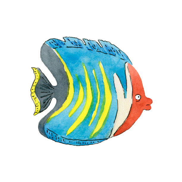 白色背景上的热带蝴蝶鱼。图片下载