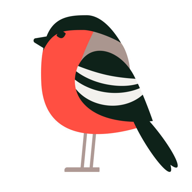 红腹灰雀平面插图图片下载