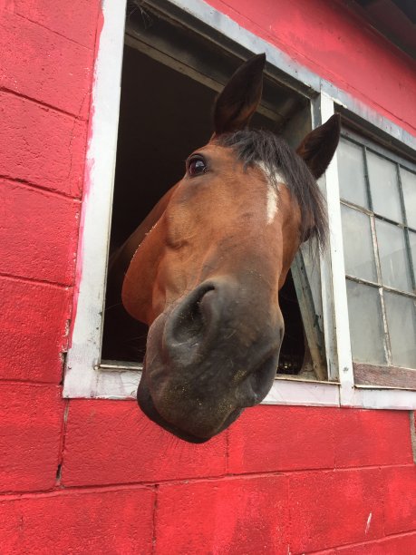 农场生活图片下载