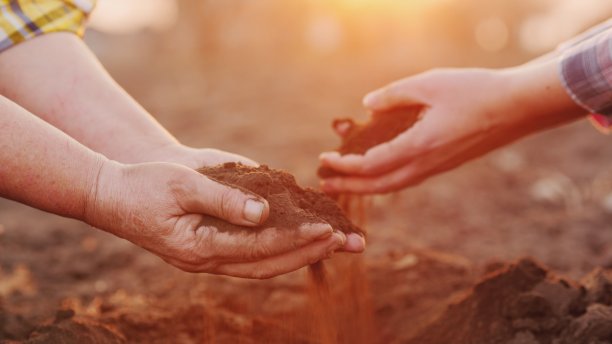 两个农民捧着一把田里的土。有机农业的概念图片下载