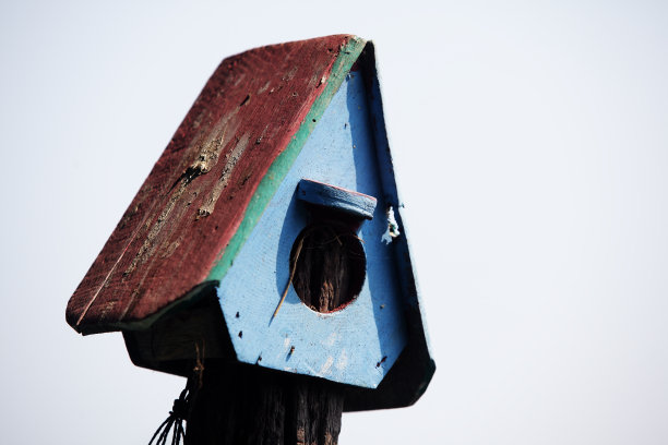 彩色木鸟屋的特写图片下载