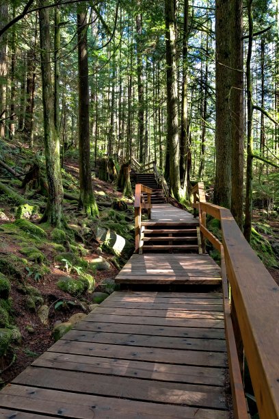 徒步旅行路上的木制人行道图片下载