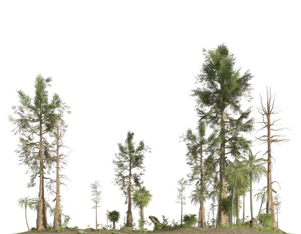 中生代森林孤立白底3D插图图片下载