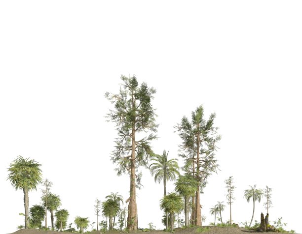 中生代森林孤立白底3D插图图片下载