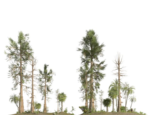 中生代森林孤立白底3D插图图片下载