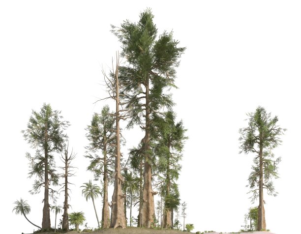 中生代森林孤立白底3D插图图片下载