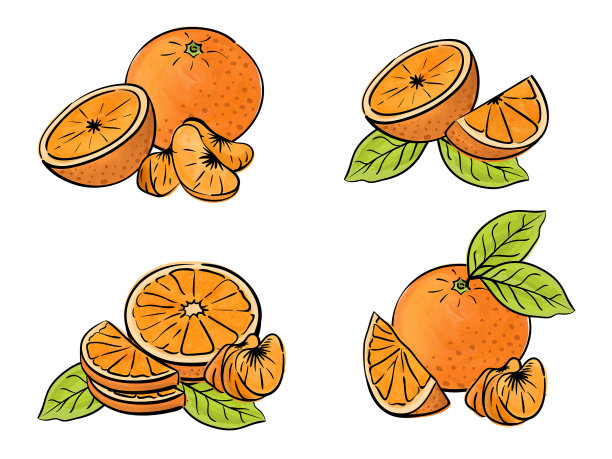 白色上孤立的橙色果实。不同类型的作品。素材图片