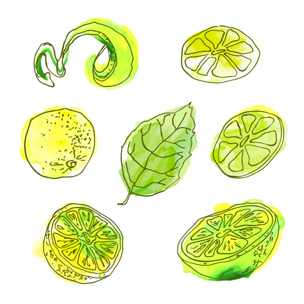 柠檬水果的向量集图片下载