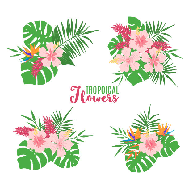 一套热带夏季花束孤立在白色。图片下载