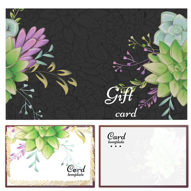 美丽的封面天才卡片多汁和图形元素。可爱的植物插图。图片下载