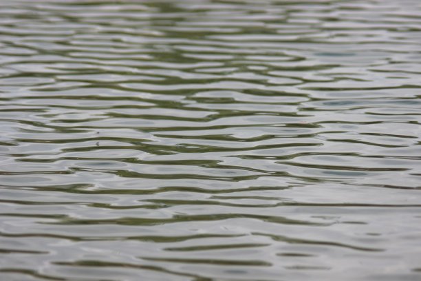 河面上有石头图片下载