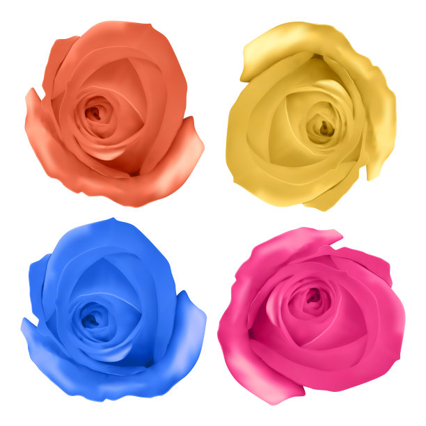 一套现实的玫瑰明亮的黄色，橙色，粉红色和蓝色的白色背景，矢量玫瑰，为您的设计装饰图片下载