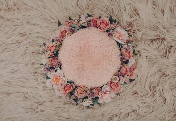 花卉新生数码背景图片下载