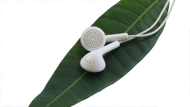 概念自然音乐和放松图片下载