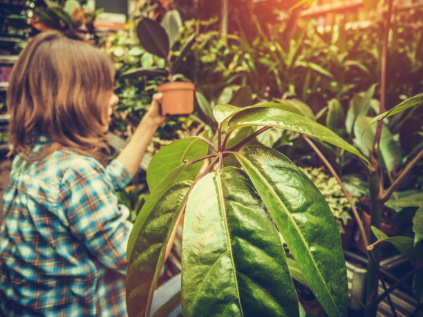 花园中心的女人图片下载