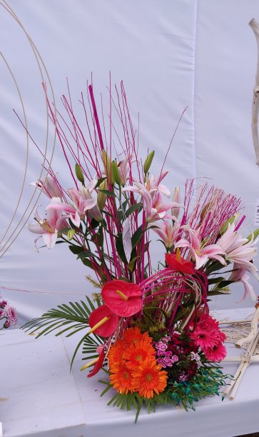 花展上的花束图片下载