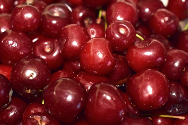 群樱桃图片下载