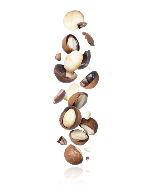 破碎的澳洲坚果孤立地落在白色背景上图片下载