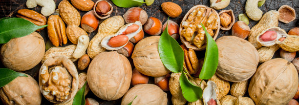 坚果的背景。不同种类的绿叶坚果。图片下载