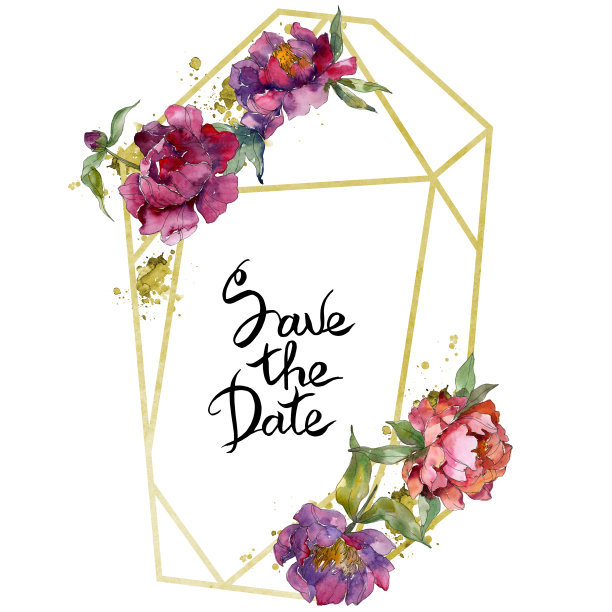 紫色牡丹，植物花。水彩背景插图集。边框装饰方形。图片下载