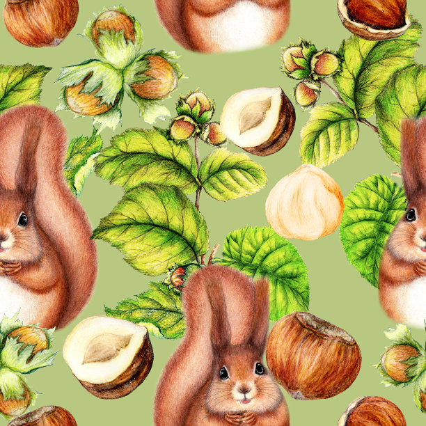 植物无缝图案手绘松鼠，榛子素材图片