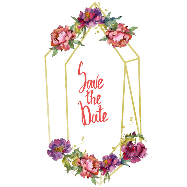 紫色牡丹，植物花。水彩背景插图集。边框装饰方形。图片下载